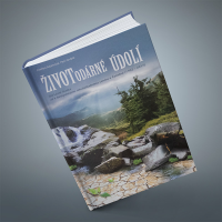 book-ivotod-rn-dol-800